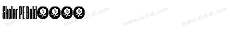 Skolar PE Bold字体转换